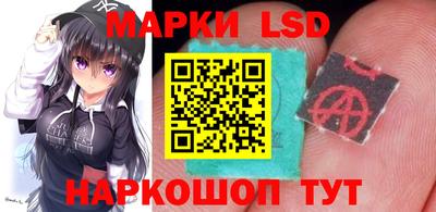 гидропоника Тверь