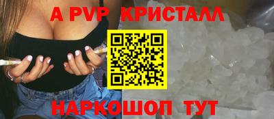 шишки Ставрополь