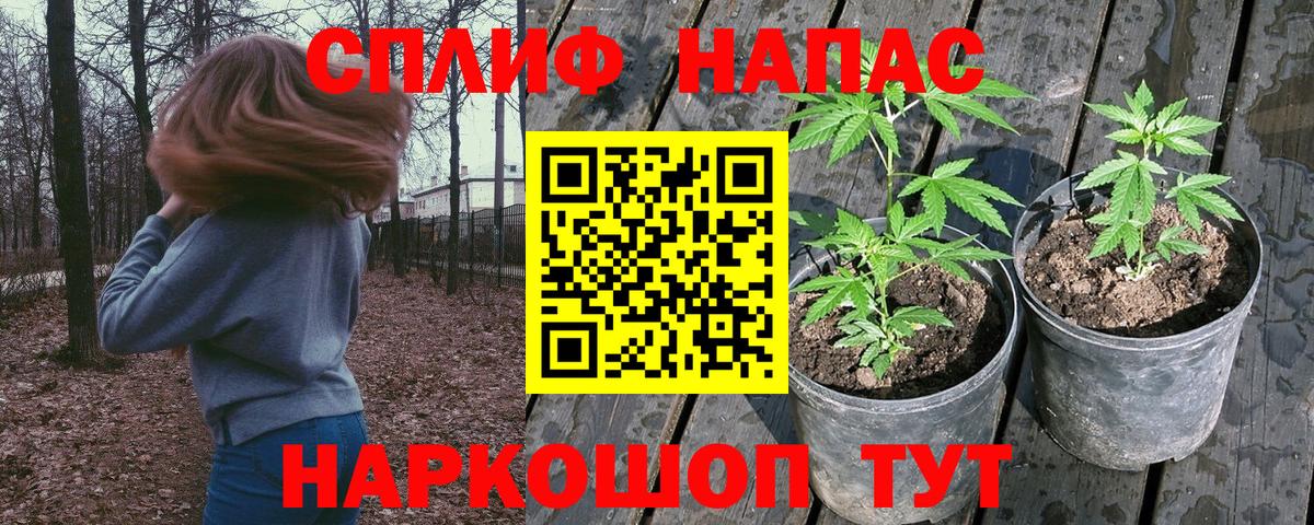 МАРИХУАНА OG Kush  МАРИХУАНА ГИДРОПОН  Вход с VPN  Конопля марихуана  Бошки марихуана семена  Новоалександровск 